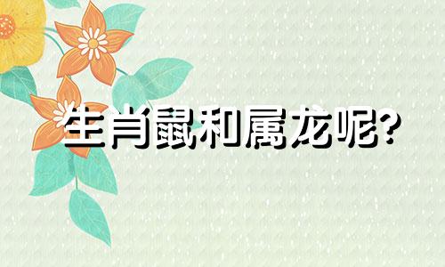 生肖鼠和属龙呢?