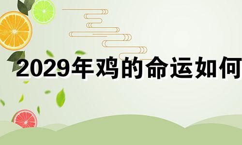 2029年鸡的命运如何?