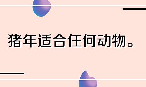 猪年适合任何动物。