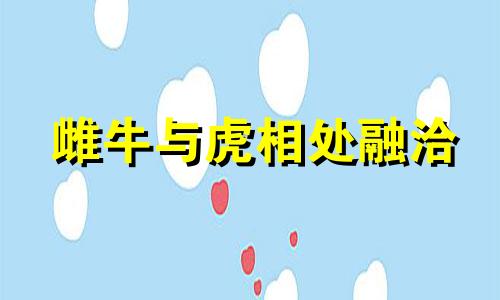 雌牛与虎相处融洽