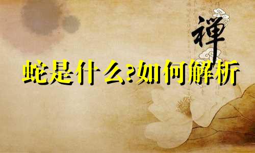 蛇是什么?如何解析