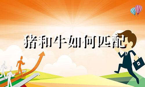 猪和牛如何匹配