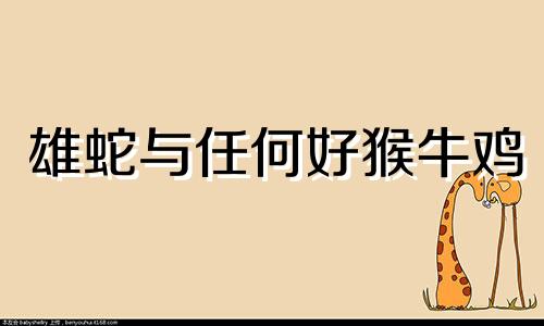 雄蛇与任何好猴牛鸡