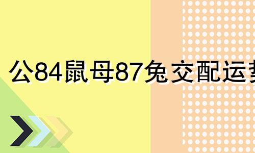 公84鼠母87兔交配运势