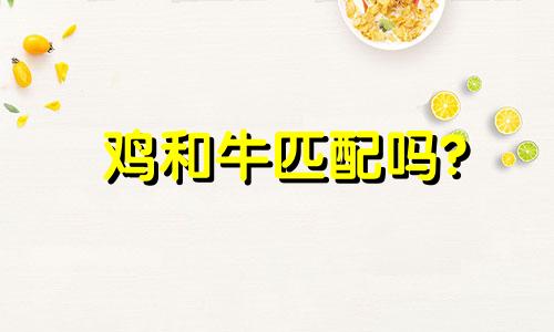 鸡和牛匹配吗?