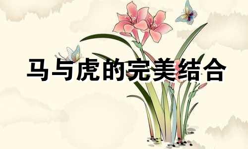 马与虎的完美结合