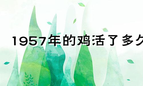 1957年的鸡活了多久?