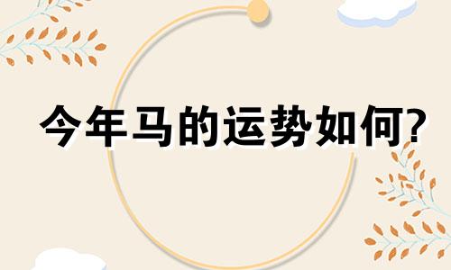 今年马的运势如何?
