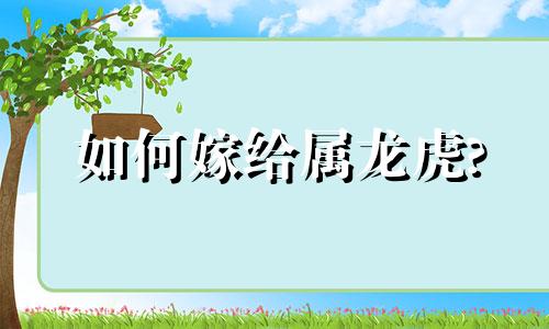 如何嫁给属龙虎?