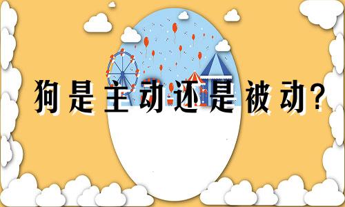 狗是主动还是被动?