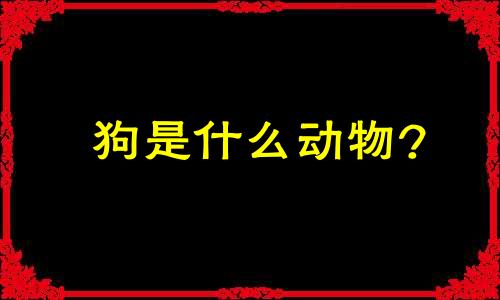 狗是什么动物?