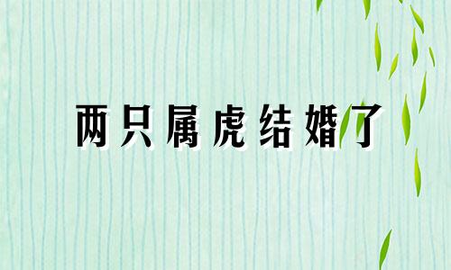 两只属虎结婚了
