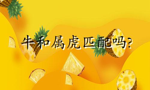 牛和属虎匹配吗?