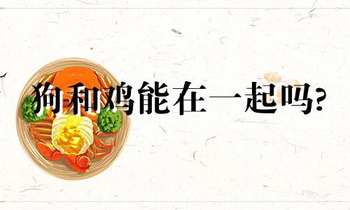 狗和鸡能在一起吗?