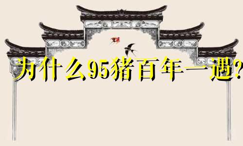 为什么95猪百年一遇?