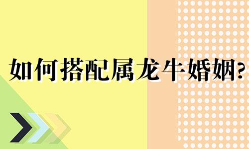 如何搭配属龙牛婚姻?