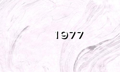 1977 Snake 43岁了，你运气怎么样?