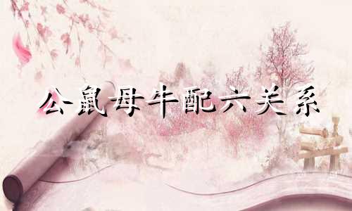 公鼠母牛配六关系