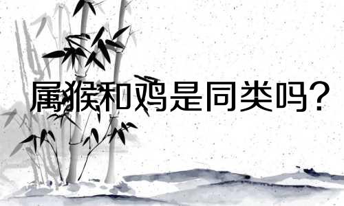 属猴和鸡是同类吗?