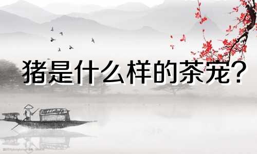 猪是什么样的茶宠?