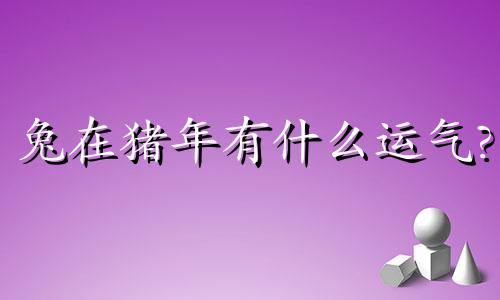 兔在猪年有什么运气?