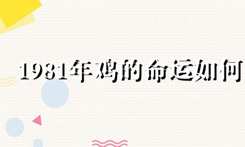 1981年鸡的命运如何?