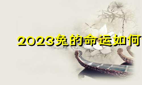 2023兔的命运如何?