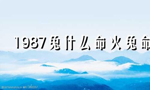 1987兔什么命火兔命