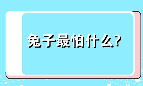 兔子最怕什么? 