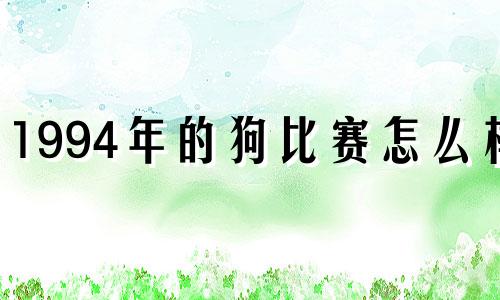 1994年的狗比赛怎么样?