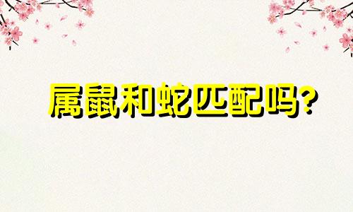 属鼠和蛇匹配吗?