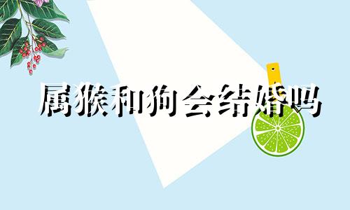 属猴和狗会结婚吗