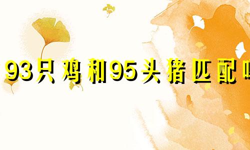 93只鸡和95头猪匹配吗?