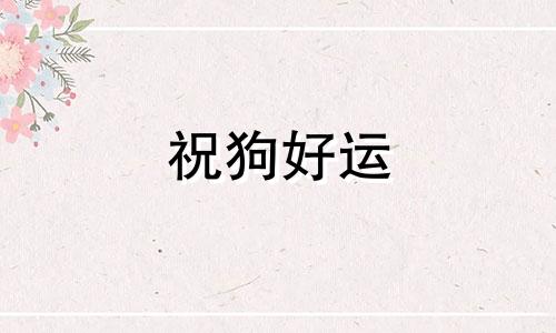 祝狗好运