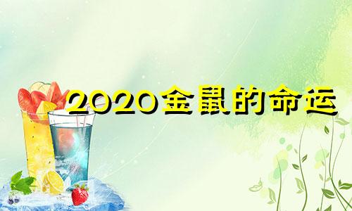 2020金鼠的命运