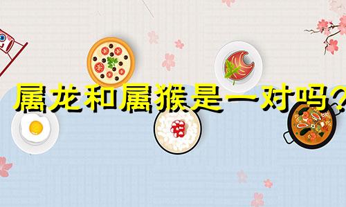 属龙和属猴是一对吗?