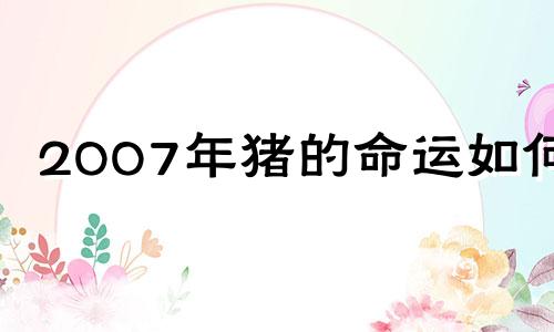 2007年猪的命运如何?