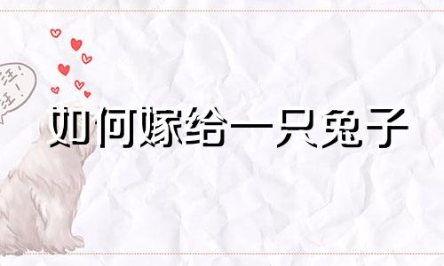 如何嫁给一只兔子