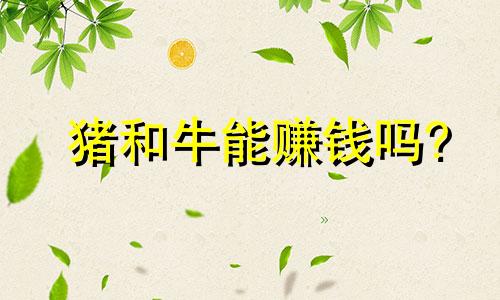 猪和牛能赚钱吗?