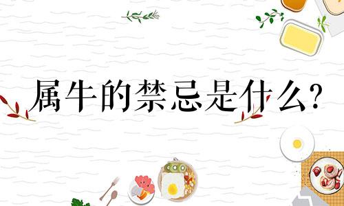 属牛的禁忌是什么?