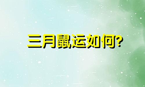 三月鼠运如何?