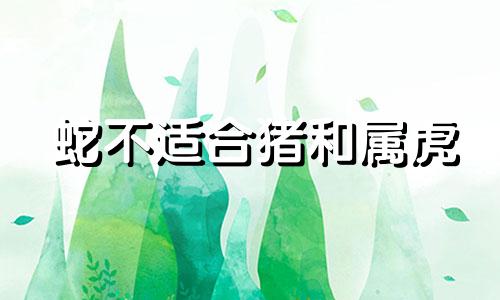蛇不适合猪和属虎