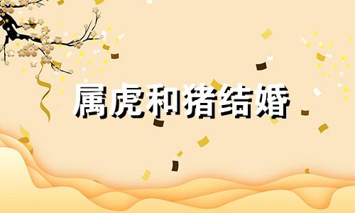 属虎和猪结婚