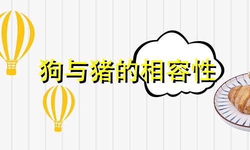 狗与猪的相容性