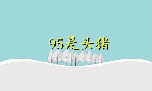 95是头猪