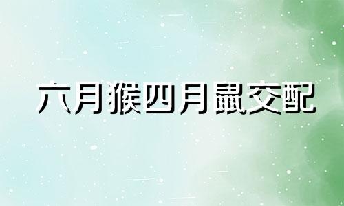 六月猴四月鼠交配