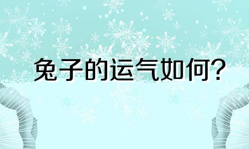 兔子的运气如何?