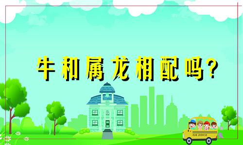 牛和属龙相配吗?