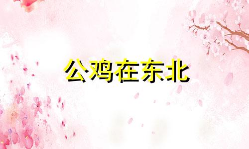 公鸡在东北