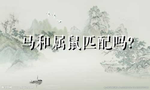 马和属鼠匹配吗?